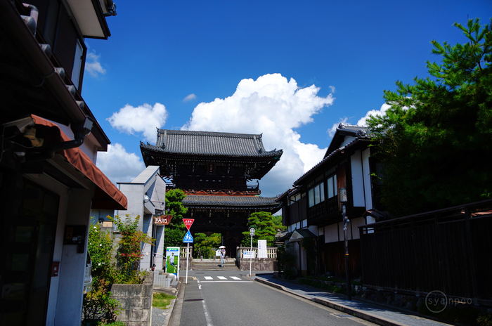 シグマ SIGMA 28-105mm F2.8 DG DN | Art レビュー (2) ／ 京都